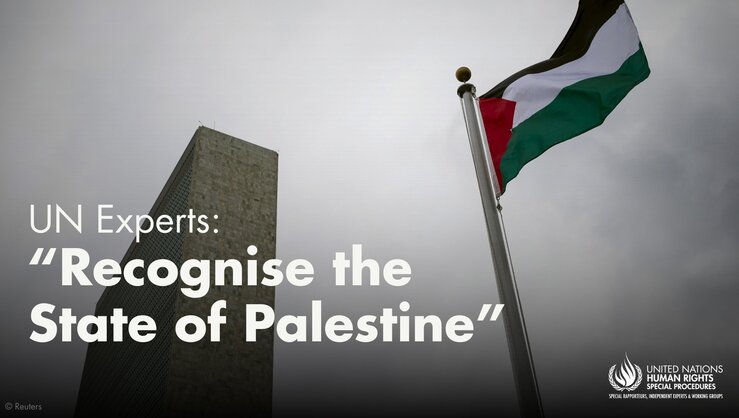 UN Experts Urge All States to Recognise State of Palestine. Photo: UN Human Rights Office